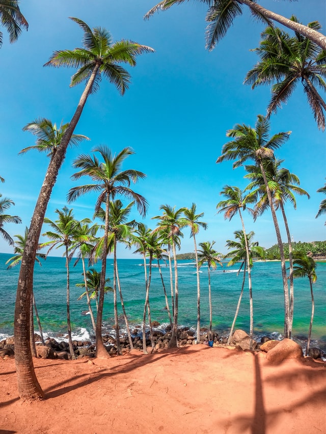 Mirissa | Sri Lanka