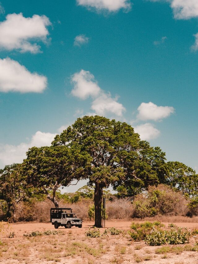 Yala National Park | Sri Lanka