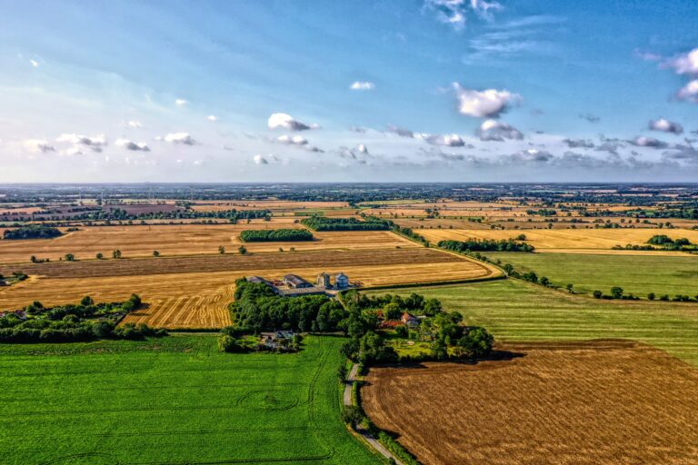 Fields, Halesworth, UK