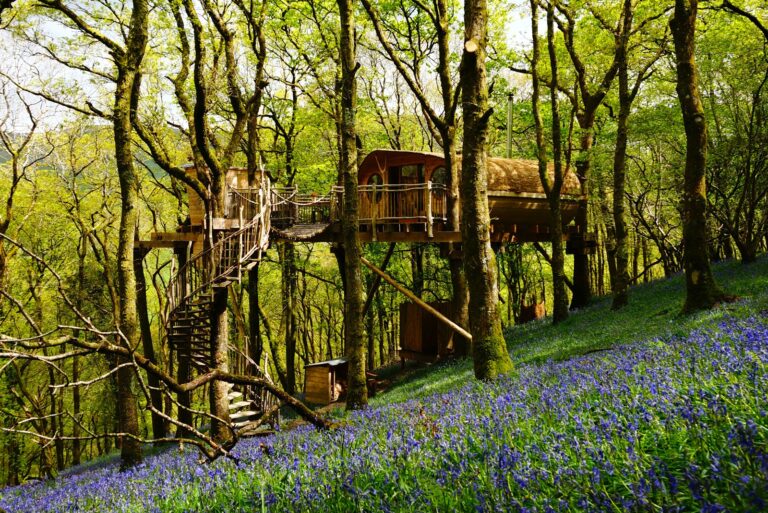 Welsh Woodland Treehouse - Wales (1)