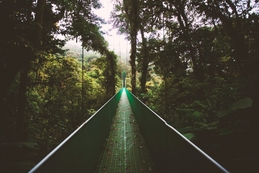 Monteverde | Costa Rica