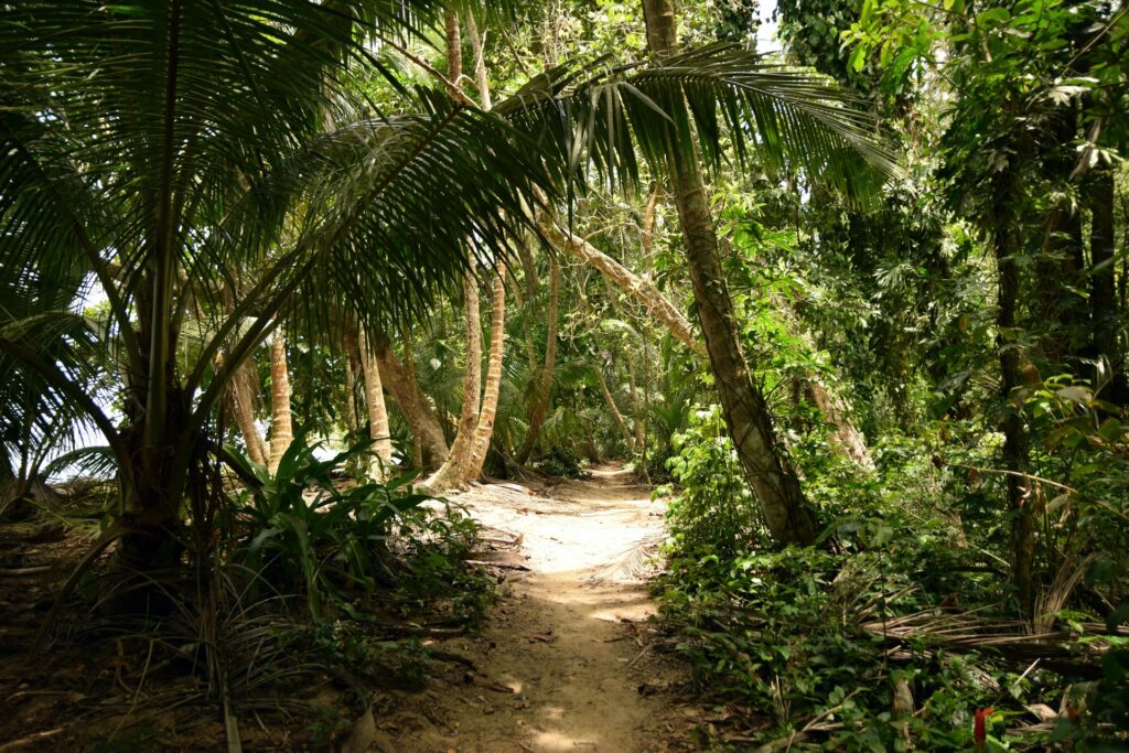 Tortuguero, Costa Rica