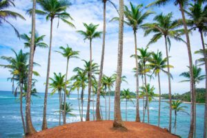 Coconut Tree Hill Road, Mirissa, Sri Lanka