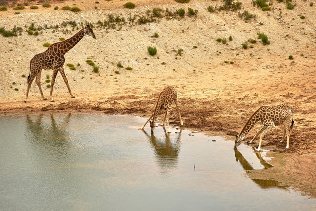 Zandibela | South Africa