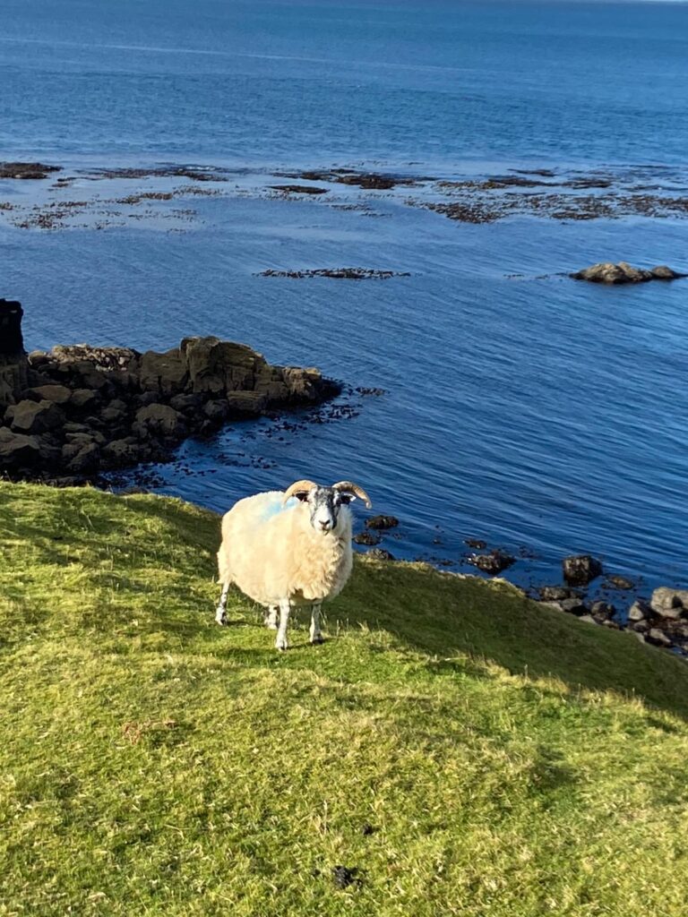 Whiskey Trek | Isle of Mull