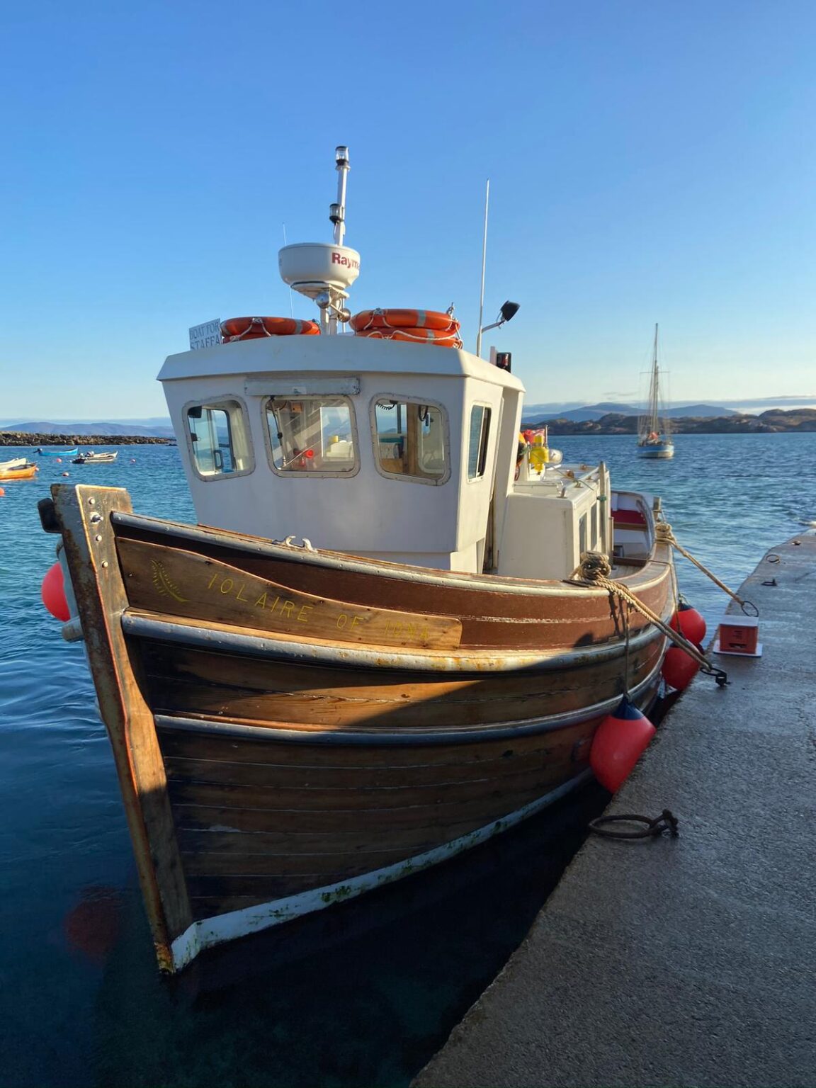 Whale Watching In Scotland | Travelling Whale