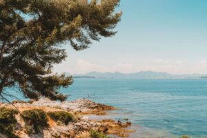 Antibes | Travelling Whale