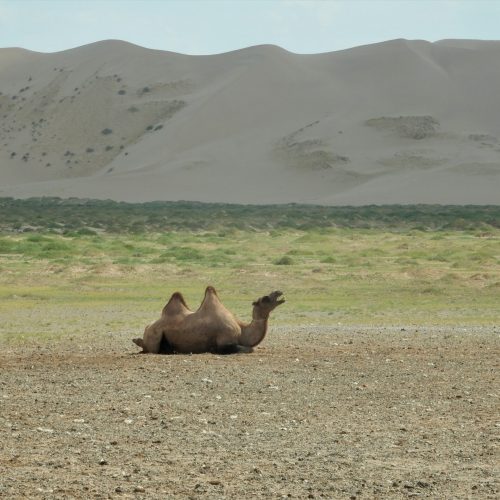 5. Khongor Dunes, Gobi Desert (Mongolia)