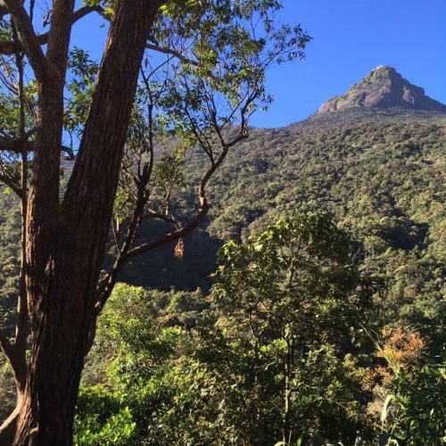 Adam's Peak Sri Lanka