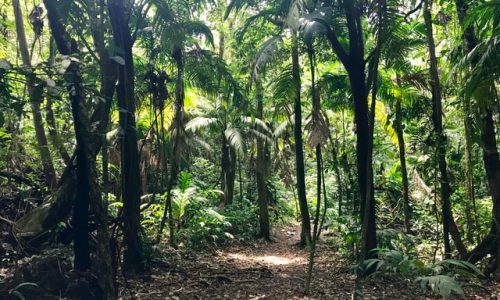 Arenal, Costa Rica