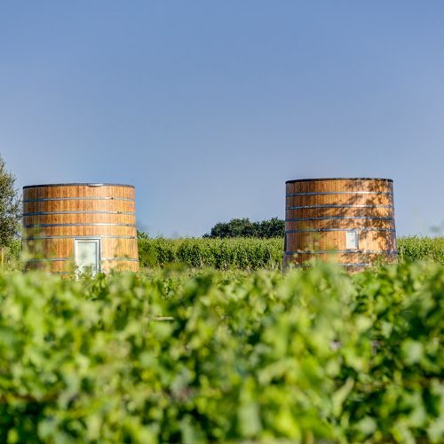 Bordeaux | Travelling Whale