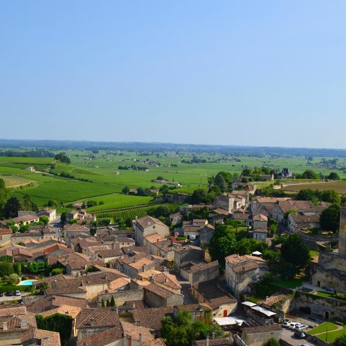 Bordeaux | Travelling Whale