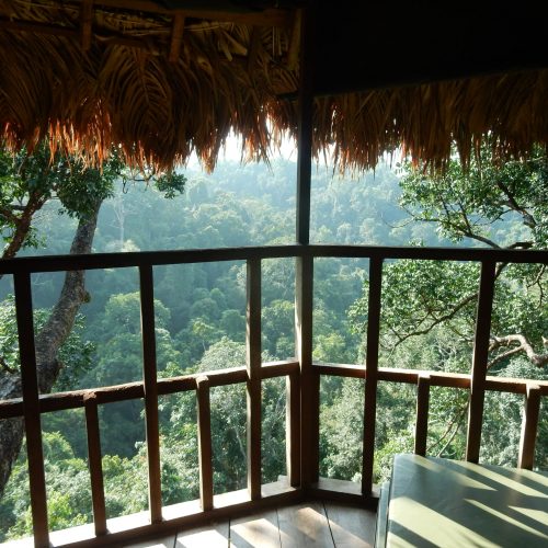 Inside the tree house