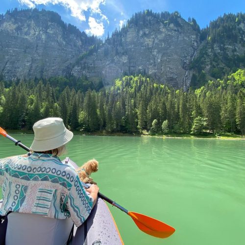 Lac Montriond, France | Travelling Whale