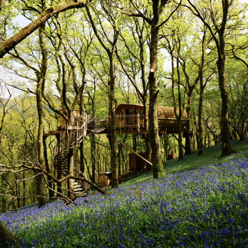 Welsh Treehouse | Wales