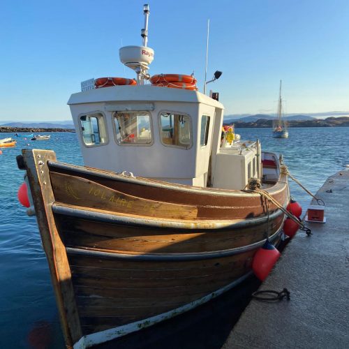 Staffa Tour | Isle of Iona