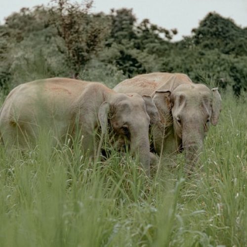 Best time to visit Sri Lanka