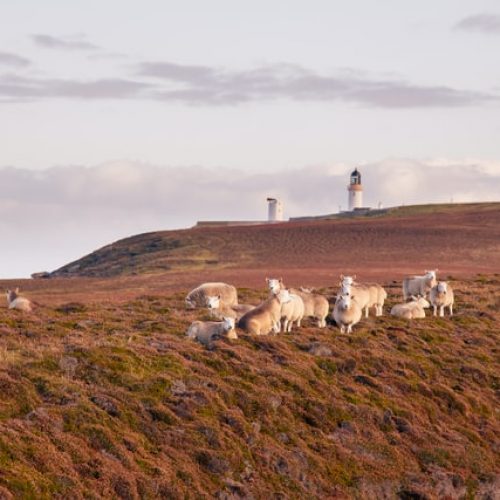 Thurso, Scotland