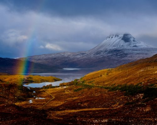 Whale watching in the UK - Ullapool