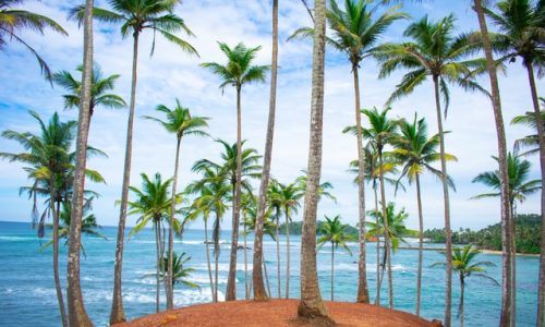 Coconut Tree Hill | Sri Lanka | Travelling Whale