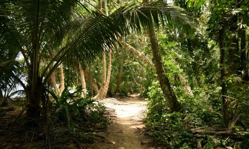 Tortuguero, Costa Rica