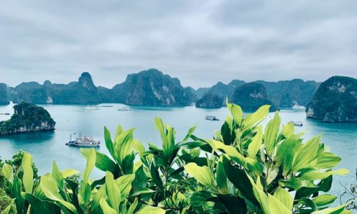 Halong Bay | Vietnam